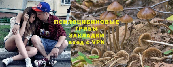альфа пвп Куйбышев